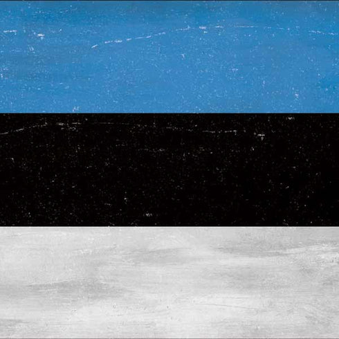 Estonia Flag Distressed Galaxy A10e Clear Case